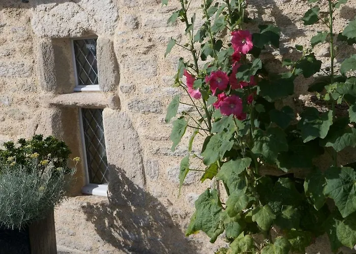 Bed & Breakfast Belmont 4*