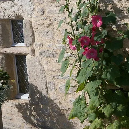 Bed & Breakfast Belmont *
